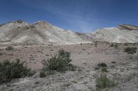 the desert has a mountain and brush growing on it's sides in front of it