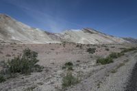 the desert has a mountain and brush growing on it's sides in front of it