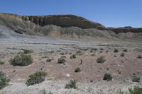 the desert has a mountain and brush growing on it's sides in front of it