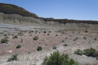 the desert has a mountain and brush growing on it's sides in front of it