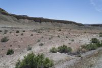 the desert has a mountain and brush growing on it's sides in front of it