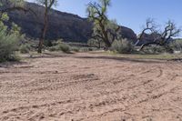 Red Rock Landscape in Utah, USA