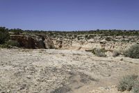 a dirt patch in a desert landscape with sparse vegetation, with a rocky bank behind