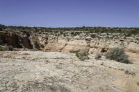 a dirt patch in a desert landscape with sparse vegetation, with a rocky bank behind