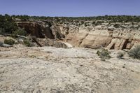 a dirt patch in a desert landscape with sparse vegetation, with a rocky bank behind