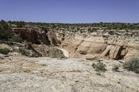 a dirt patch in a desert landscape with sparse vegetation, with a rocky bank behind