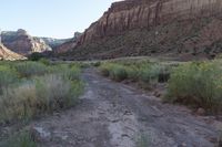 Red Rock Mountain in Utah at Dawn: A Stunning Landscape