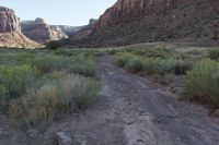 Red Rock Mountain in Utah at Dawn: A Stunning Landscape