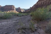 Red Rock Mountain in Utah at Dawn: A Stunning Landscape