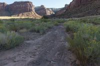 Red Rock Mountain in Utah at Dawn: A Stunning Landscape