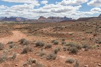 a dirt road in the desert with rocks and plants surrounding it and mountains in the distance