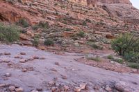 Red Rock Mountain Wilderness: The Majestic Escarpment