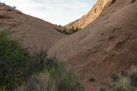 the rocks are brown color with small green plants growing on them in the desert area