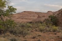 Red Rock Mountains: Utah Desert Scenery