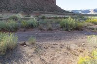 Red Rock Mountains in Utah: A Stunning Landscape