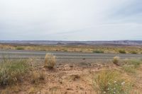 an empty highway in a flat desert land near mountains and grass, with some yellow wildflowers