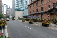 red, yellow, and pink flowers are in pots on the sidewalk by the street