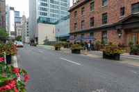 red, yellow, and pink flowers are in pots on the sidewalk by the street