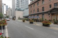 red, yellow, and pink flowers are in pots on the sidewalk by the street