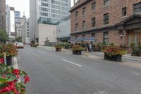 red, yellow, and pink flowers are in pots on the sidewalk by the street