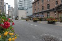 red, yellow, and pink flowers are in pots on the sidewalk by the street