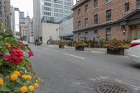 red, yellow, and pink flowers are in pots on the sidewalk by the street