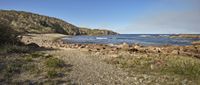 an empty rocky beach is seen in the distance from rocky shore, with some shrubs in the foreground