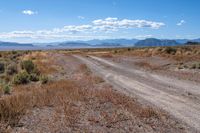 a dirt road with an arrow sign in the middle of nowhere, with mountains in the distance