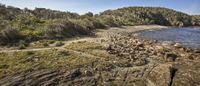 rocks, grass and dirt lining the beach and water that are next to the shore