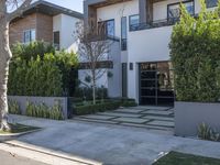 this is a very nice modern house with some trees in the foreground and some plants on the sidewalk