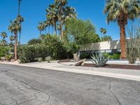 Residential Architecture in Palm Springs