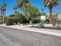 Residential Architecture in Palm Springs