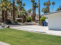 palm trees and some concrete in the grass and on the sidewalk is a building with two buildings in it