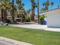 palm trees and some concrete in the grass and on the sidewalk is a building with two buildings in it