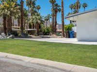 palm trees and some concrete in the grass and on the sidewalk is a building with two buildings in it