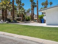 palm trees and some concrete in the grass and on the sidewalk is a building with two buildings in it