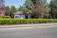 there is a house on the street behind shrubs and trees in front of it on a sunny day