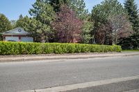 there is a house on the street behind shrubs and trees in front of it on a sunny day