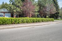 there is a house on the street behind shrubs and trees in front of it on a sunny day