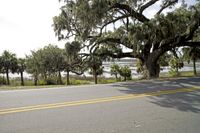 a car parked by a body of water with trees and grass around it in front