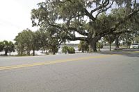 a car parked by a body of water with trees and grass around it in front