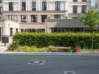 an empty street with bushes, benches and a building in the background - - - -