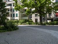 a person with a surfboard on a pathway near some buildings that have plants in front and trees in the yard