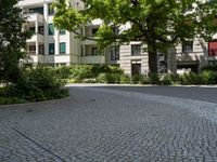 a person with a surfboard on a pathway near some buildings that have plants in front and trees in the yard