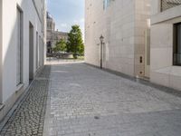 a narrow stone road that leads down to buildings and trees next to them with windows