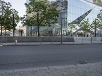 Residential Area in Berlin: A Tree-lined Road