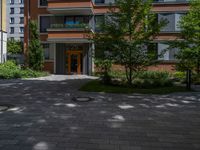 a residential driveway with a bench and bushes in between buildings and green grass on either side