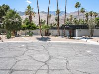 Residential Area in California: Relaxing Day Amongst Palm Trees