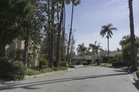 Residential Area in Los Angeles, California, USA