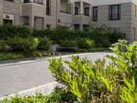 a bench is near an apartment building and bushes and trees in front of it outdoors